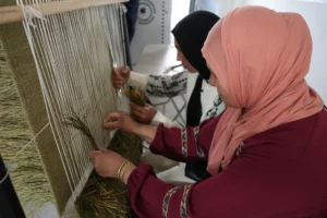 Hub Design Kasserine