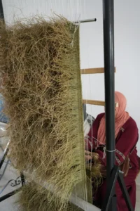 Hub Design Kasserine